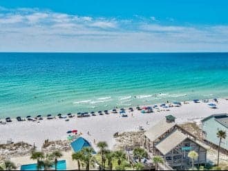 Palmetto Palms House - Image 2