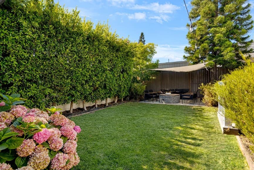 South Park Sanctuary - Image 30