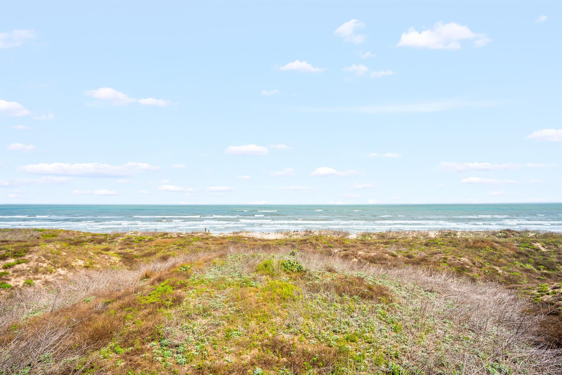 Sea Forever - Image 64