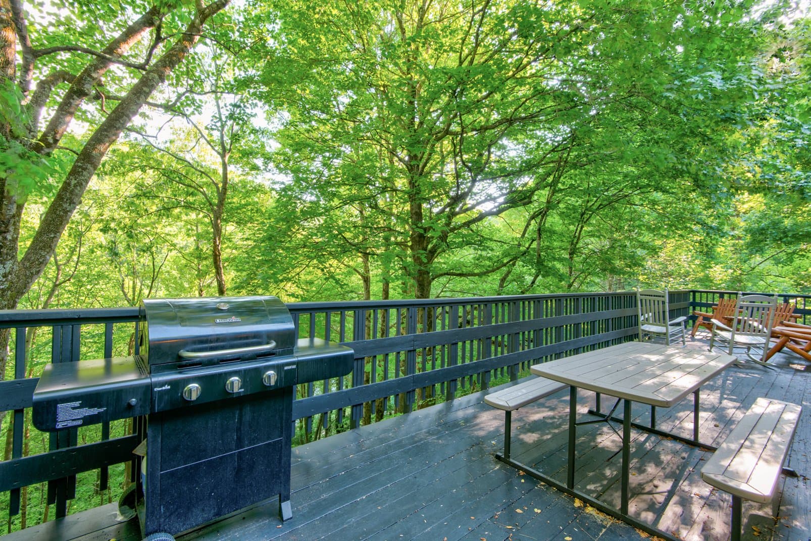 Paws a While - Image 50