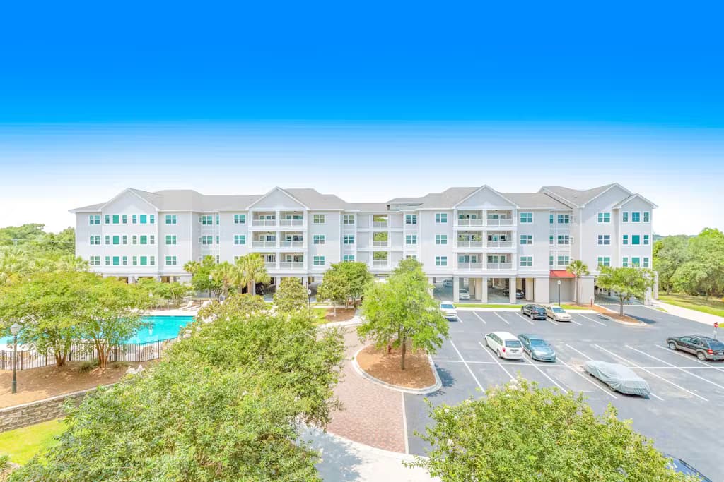 One Eyed Chihuahua - Image 5