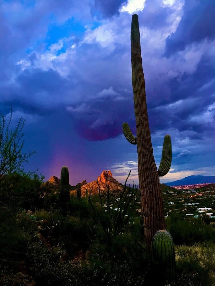 Man O Man - Image 141