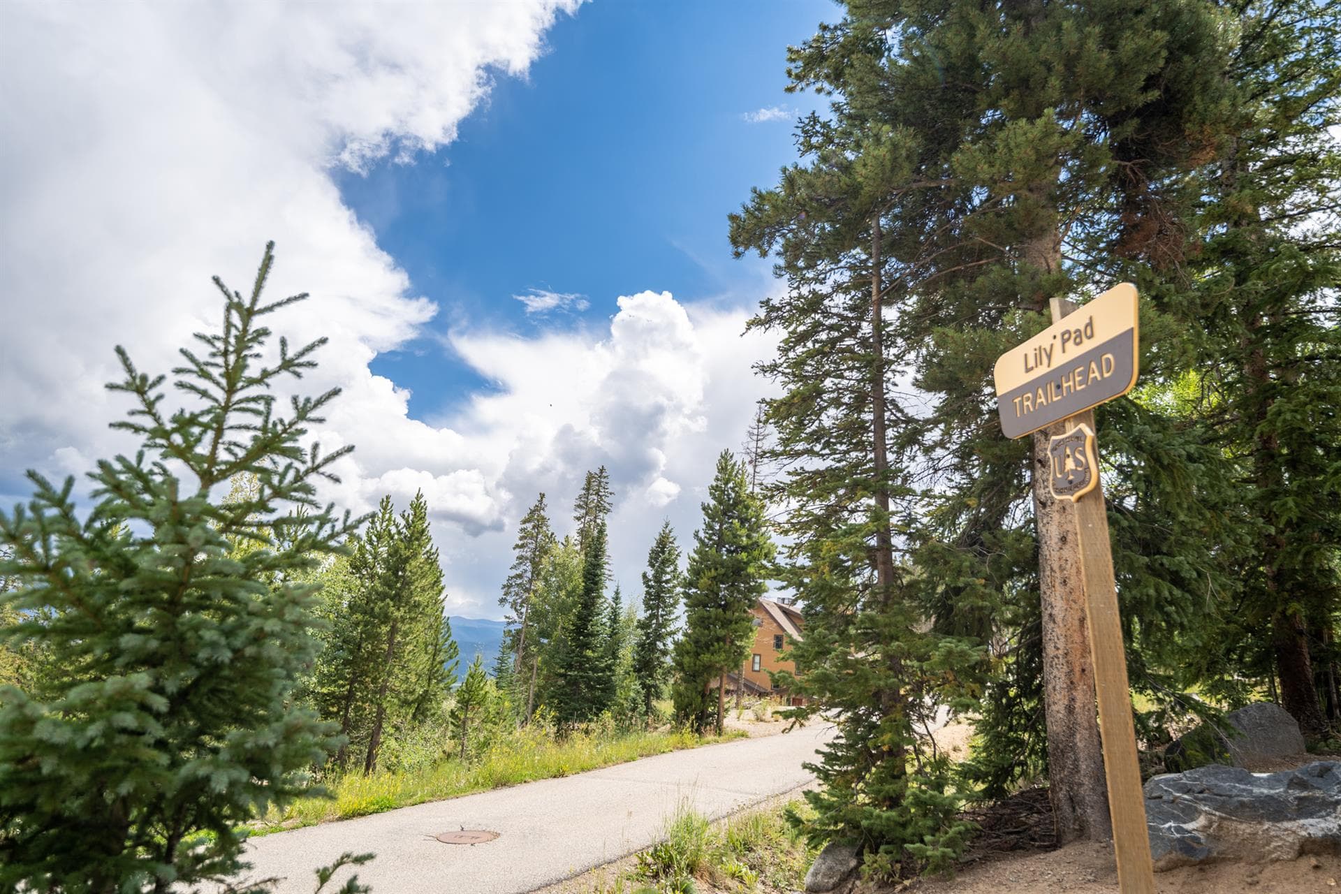 Watch Hill - Image 34