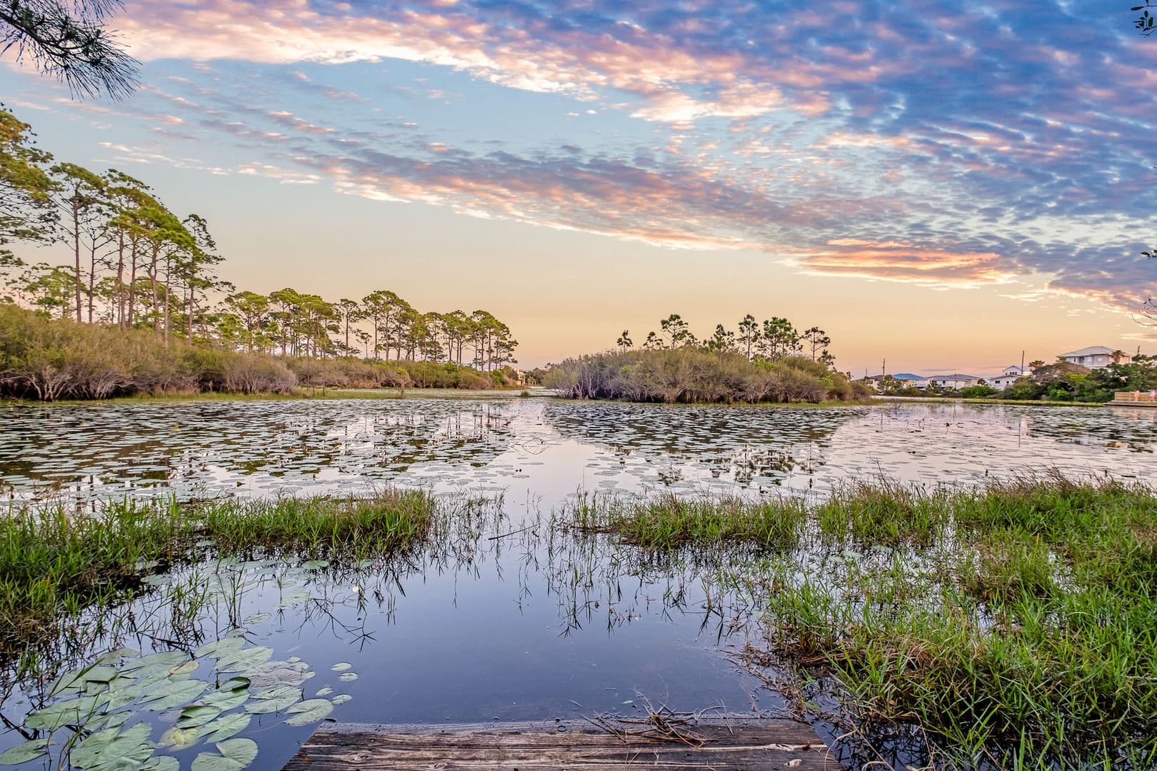 Timeless 30A - Image 34