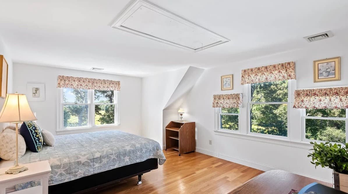 Chatham Bog - Image 27