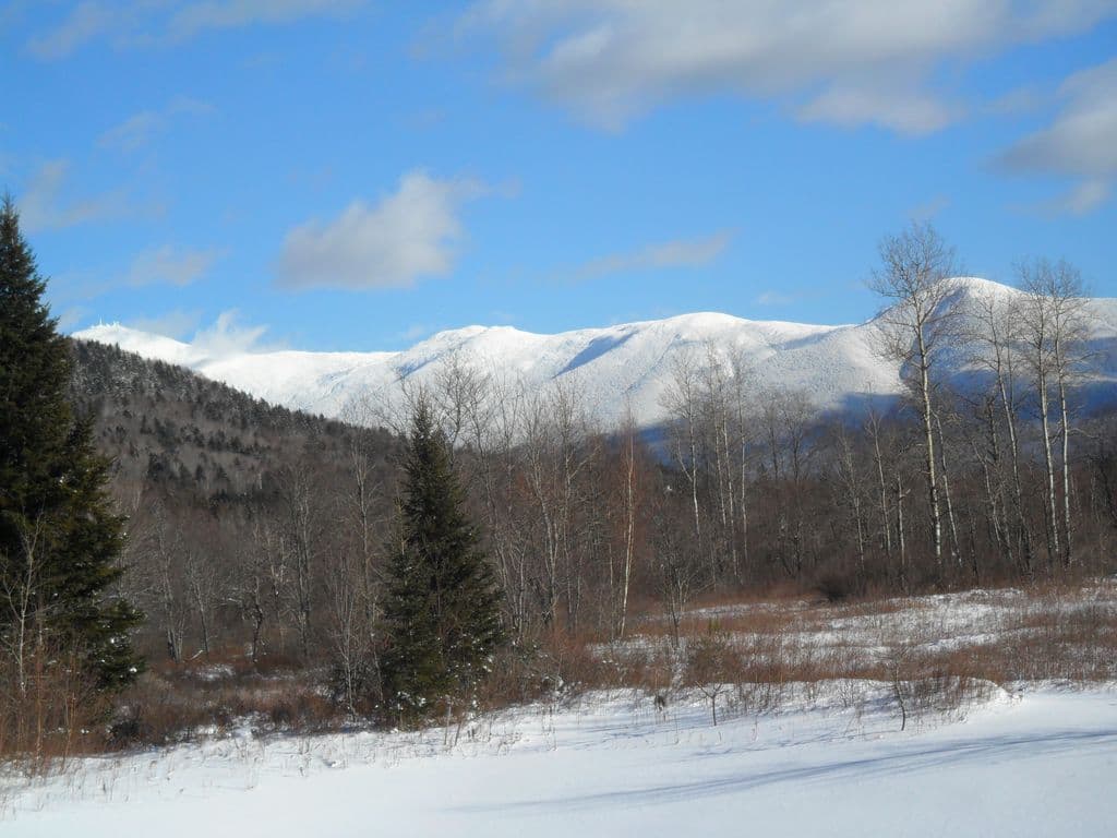 Moose Lodge - Image 47