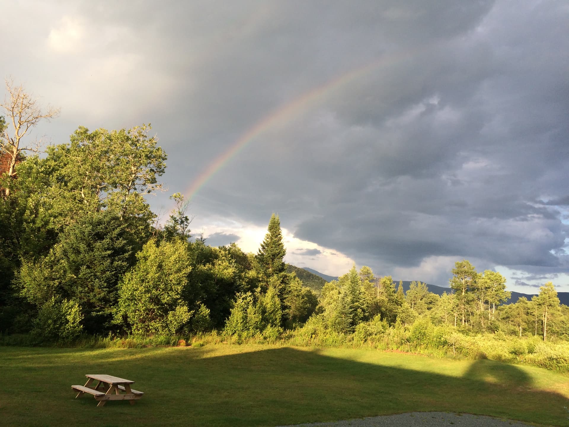 Moose Lodge - Image 52