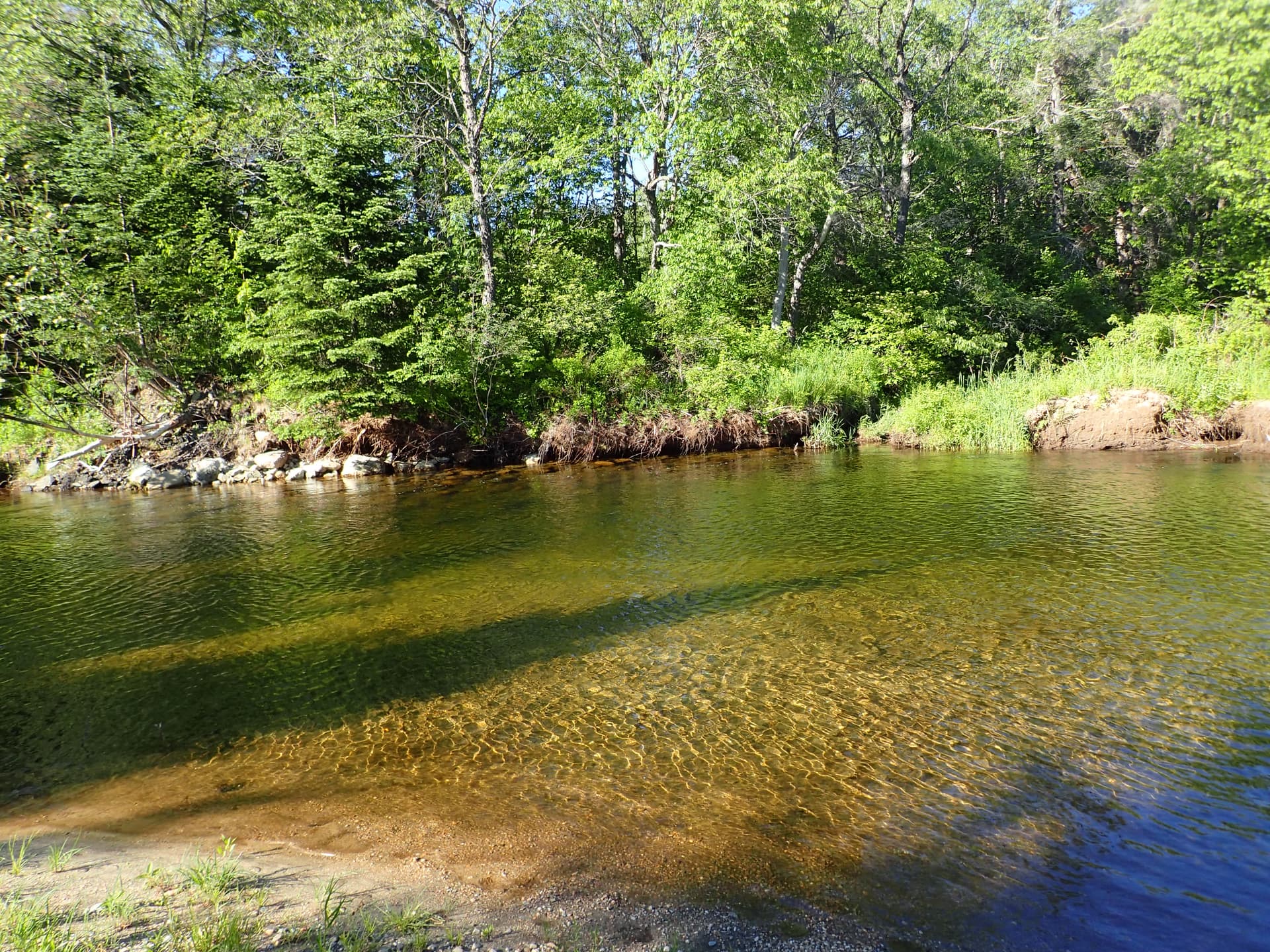 Moose Lodge - Image 57