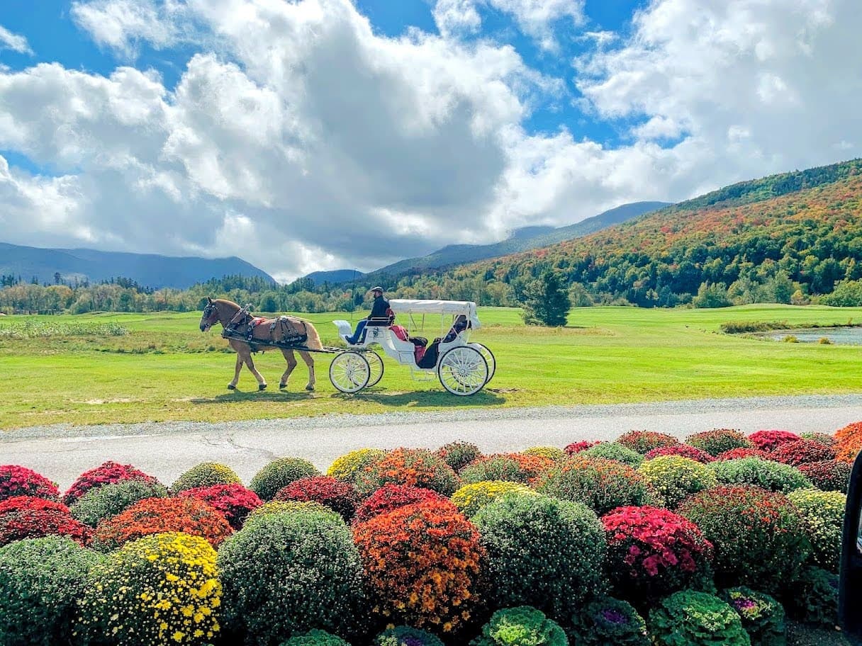 Moose Lodge - Image 76