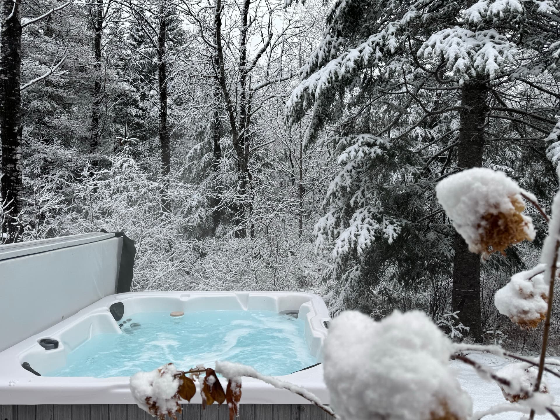  Owl’s Roost  - Image 2