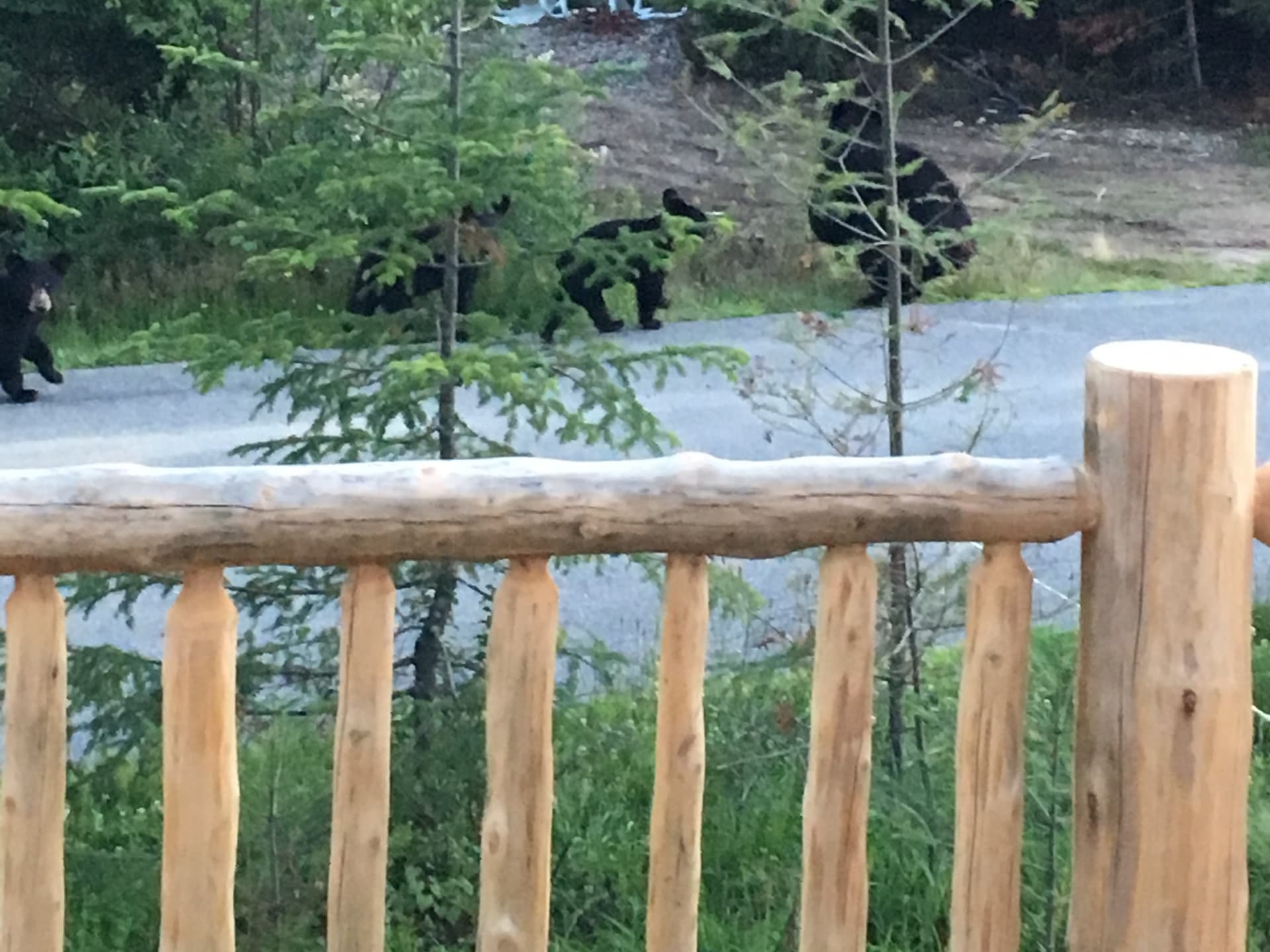  Owl’s Roost  - Image 20