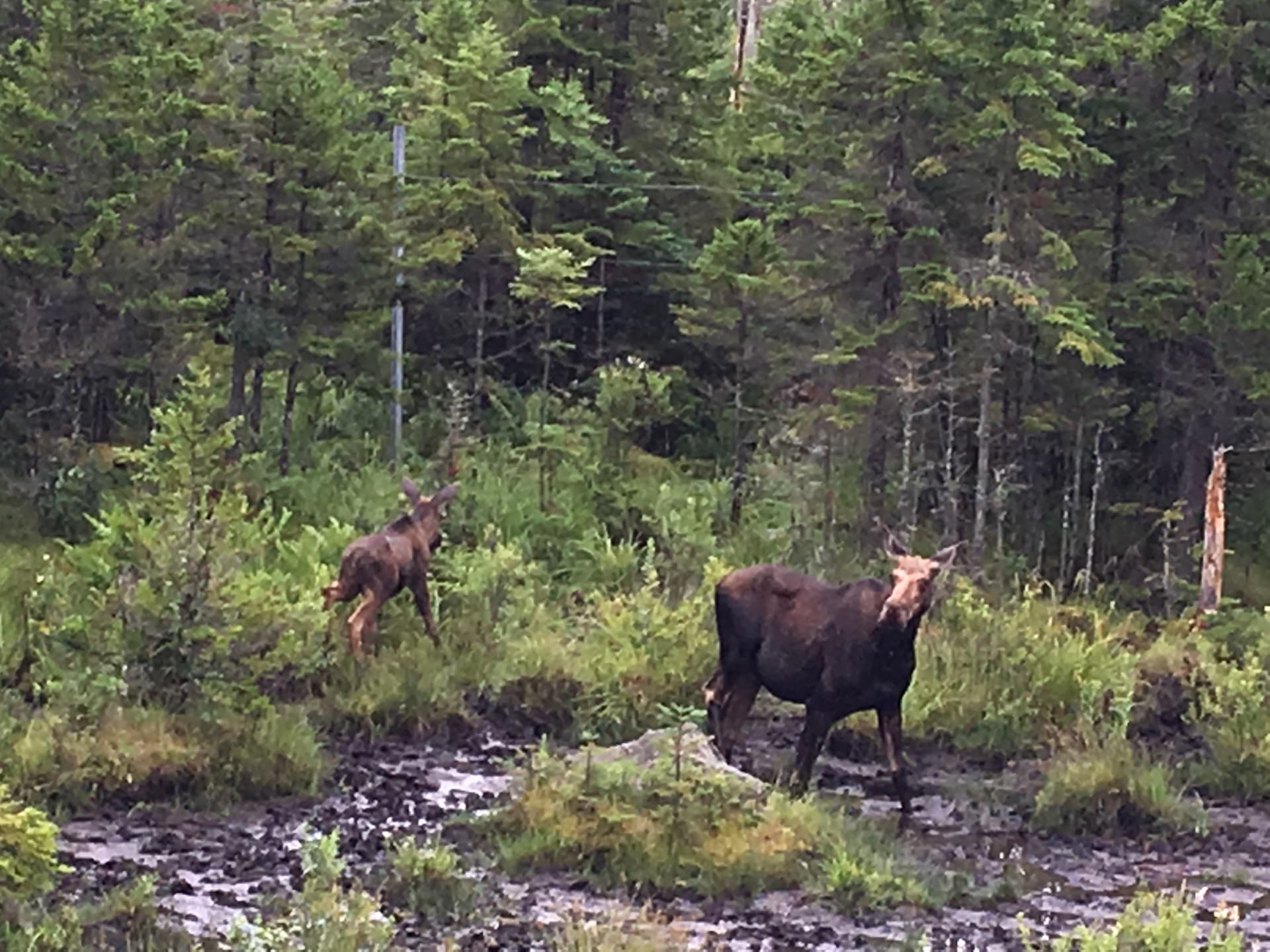  Owl’s Roost  - Image 32