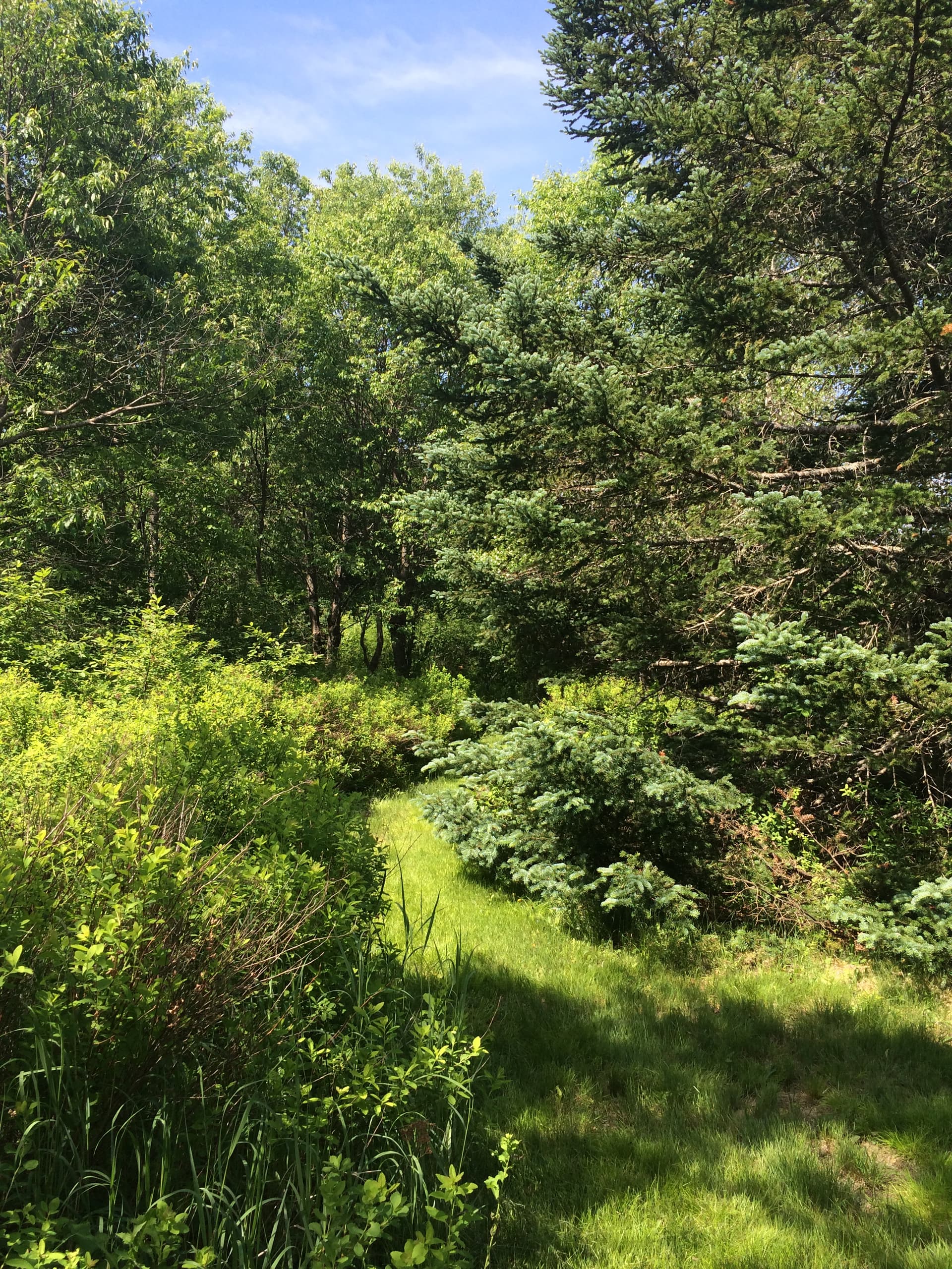  Owl’s Roost  - Image 33