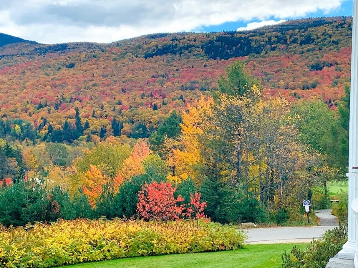  Owl’s Roost  - Image 45