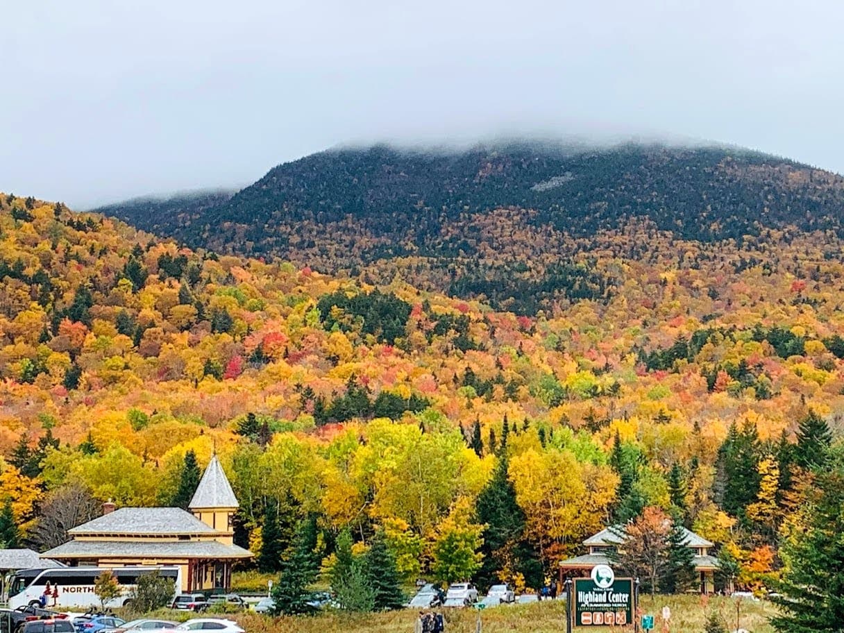  Owl’s Roost  - Image 48