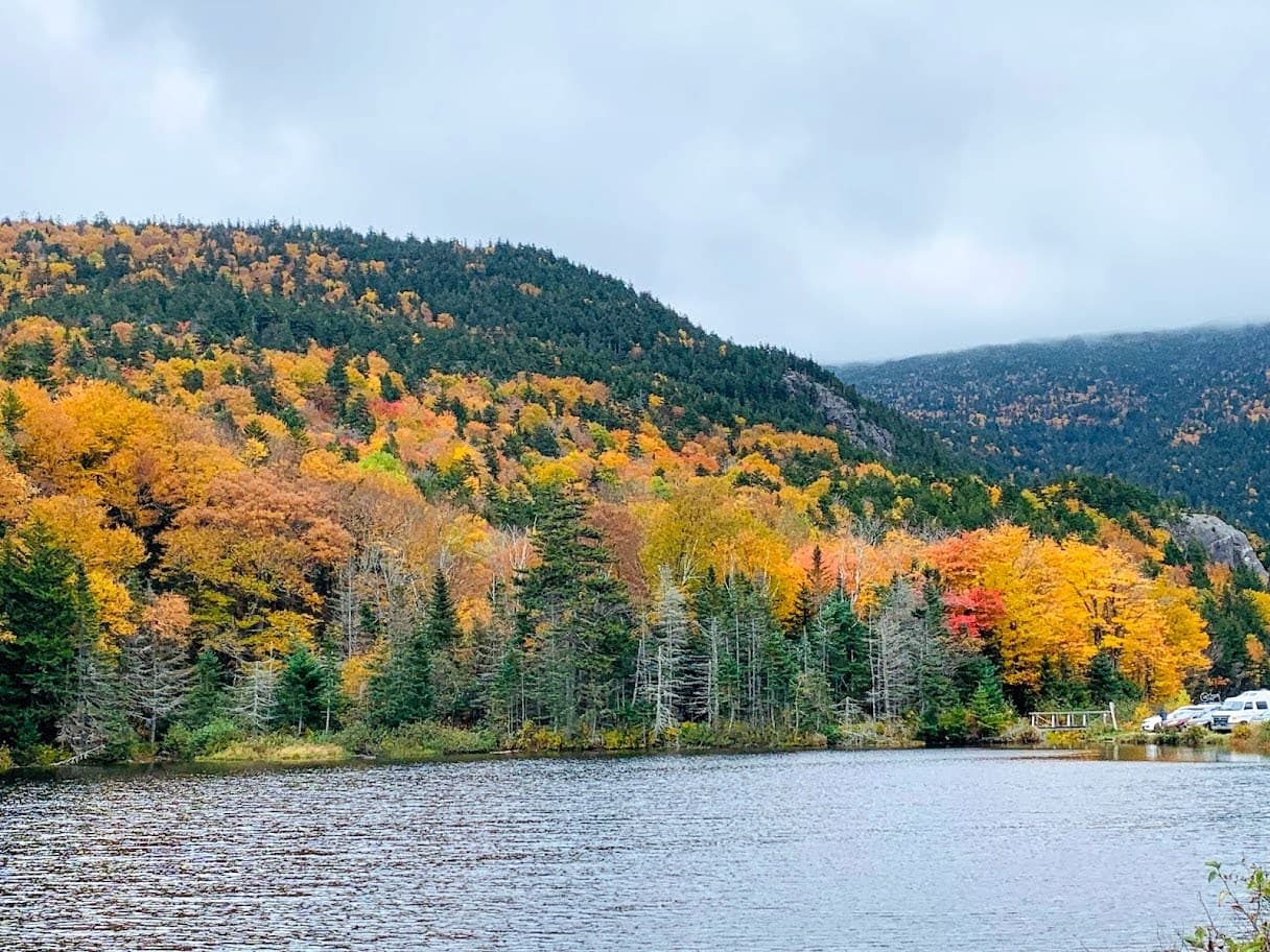  Owl’s Roost  - Image 47