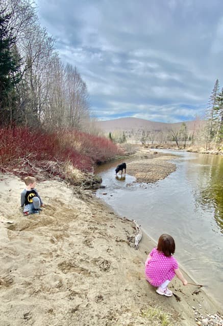  Owl’s Roost  - Image 50