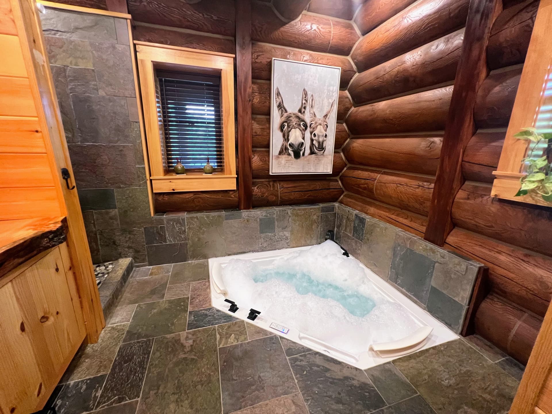 West Mountain Place - Image 26