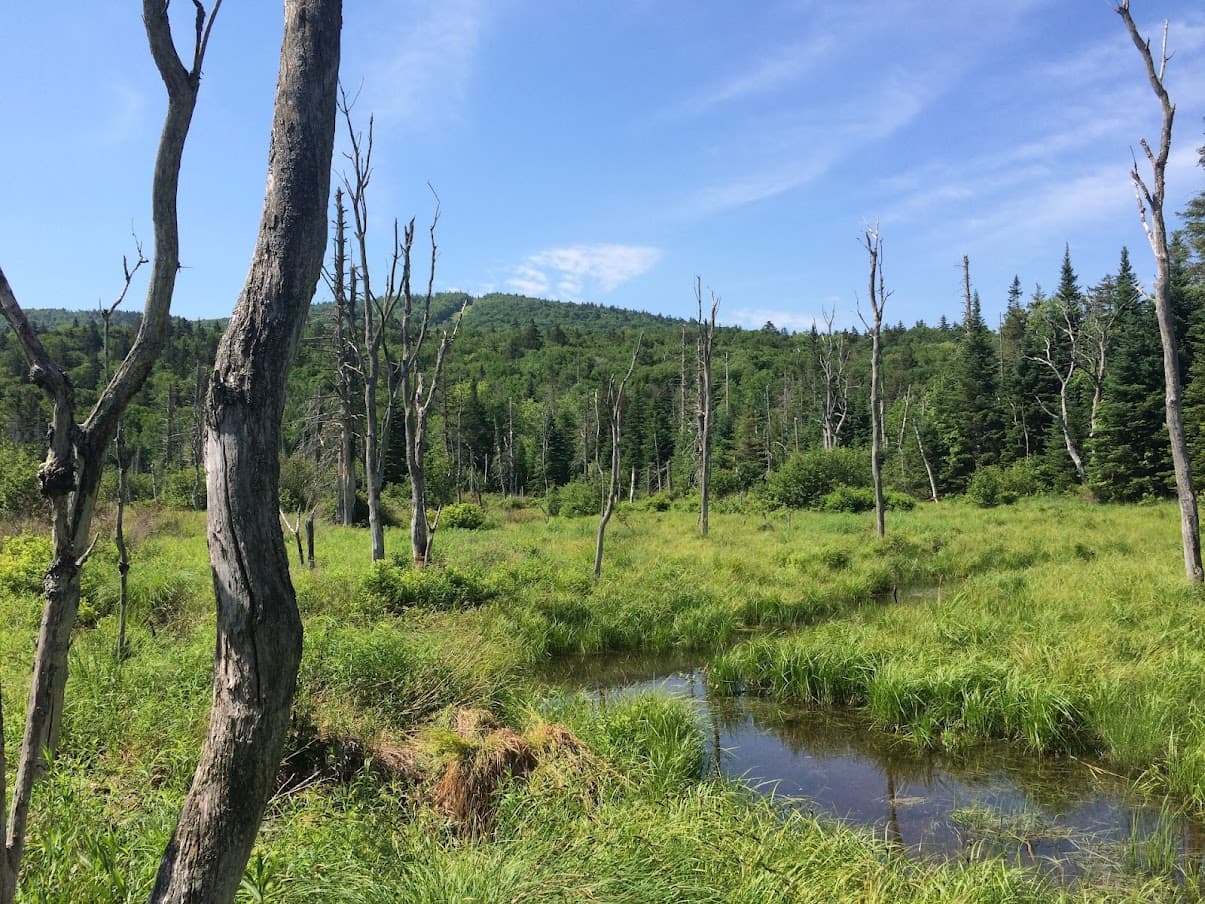 West Mountain Place - Image 43