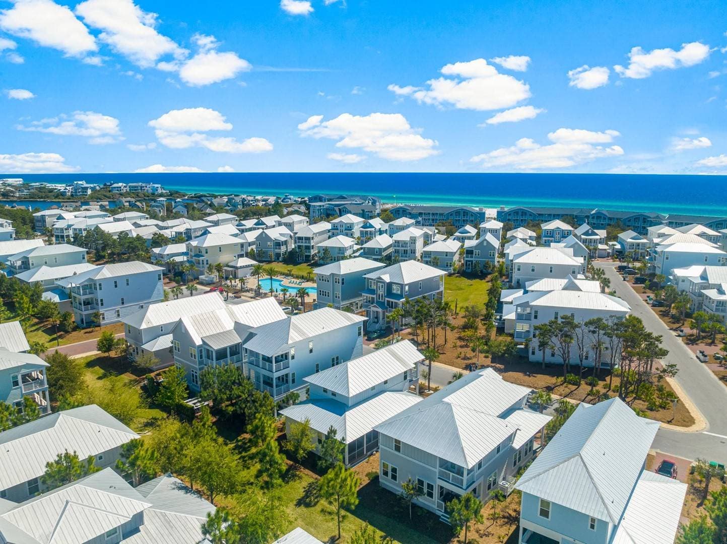 Palm Tree Paradise - Image 52