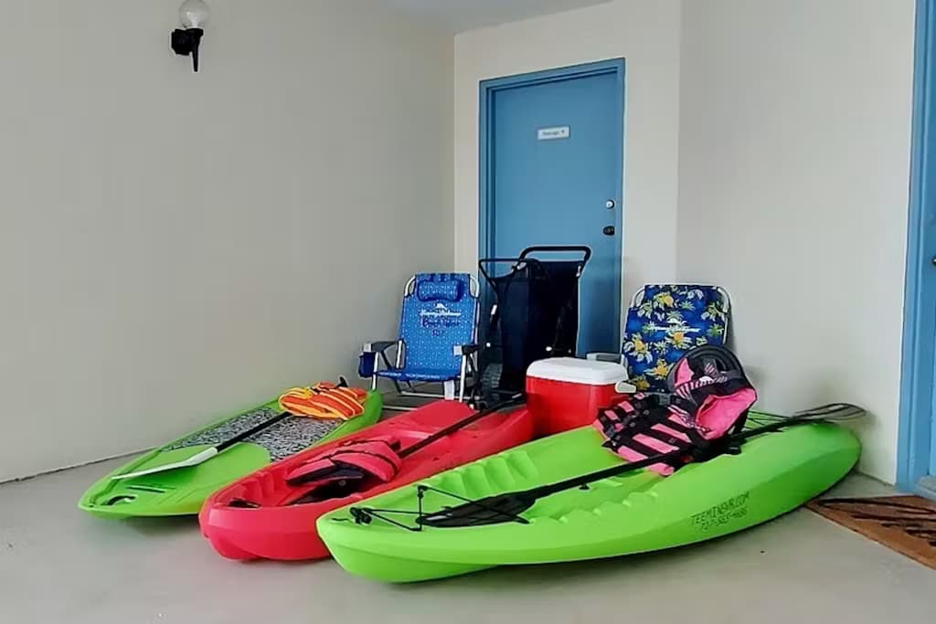 Beach Palm - Image 16