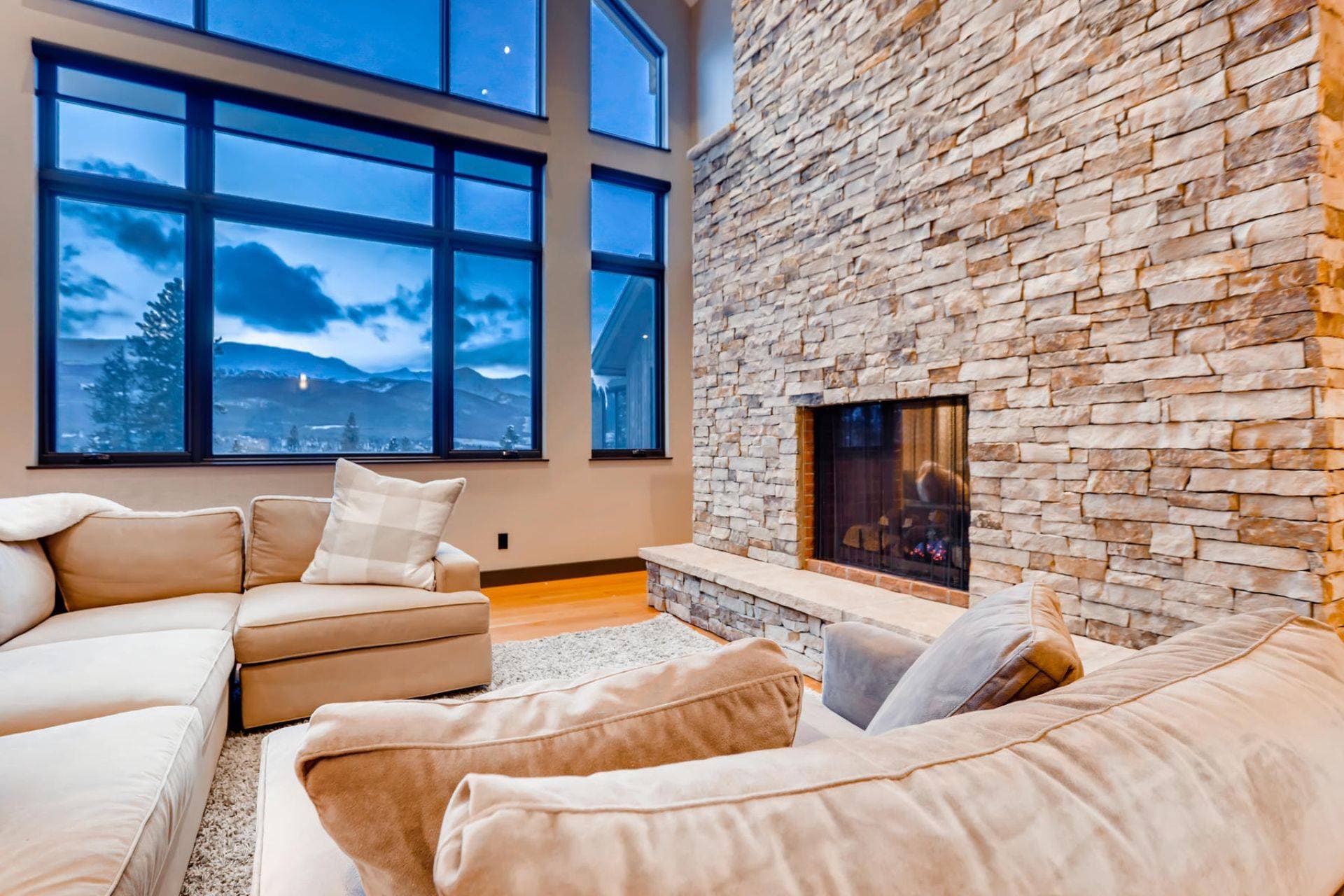 Bearadise Forest - Image 2