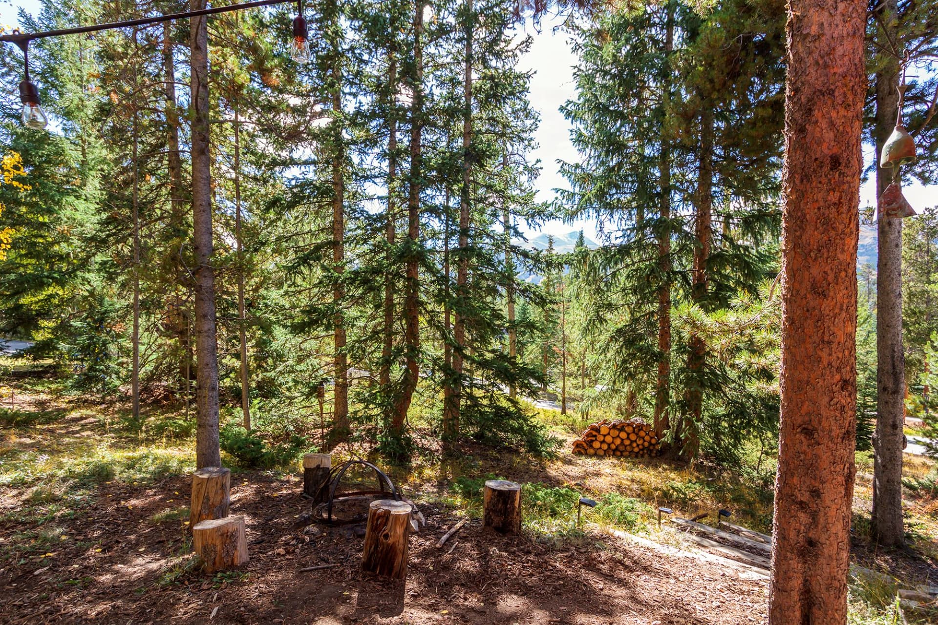 Royal Tiger Retreat - Image 35