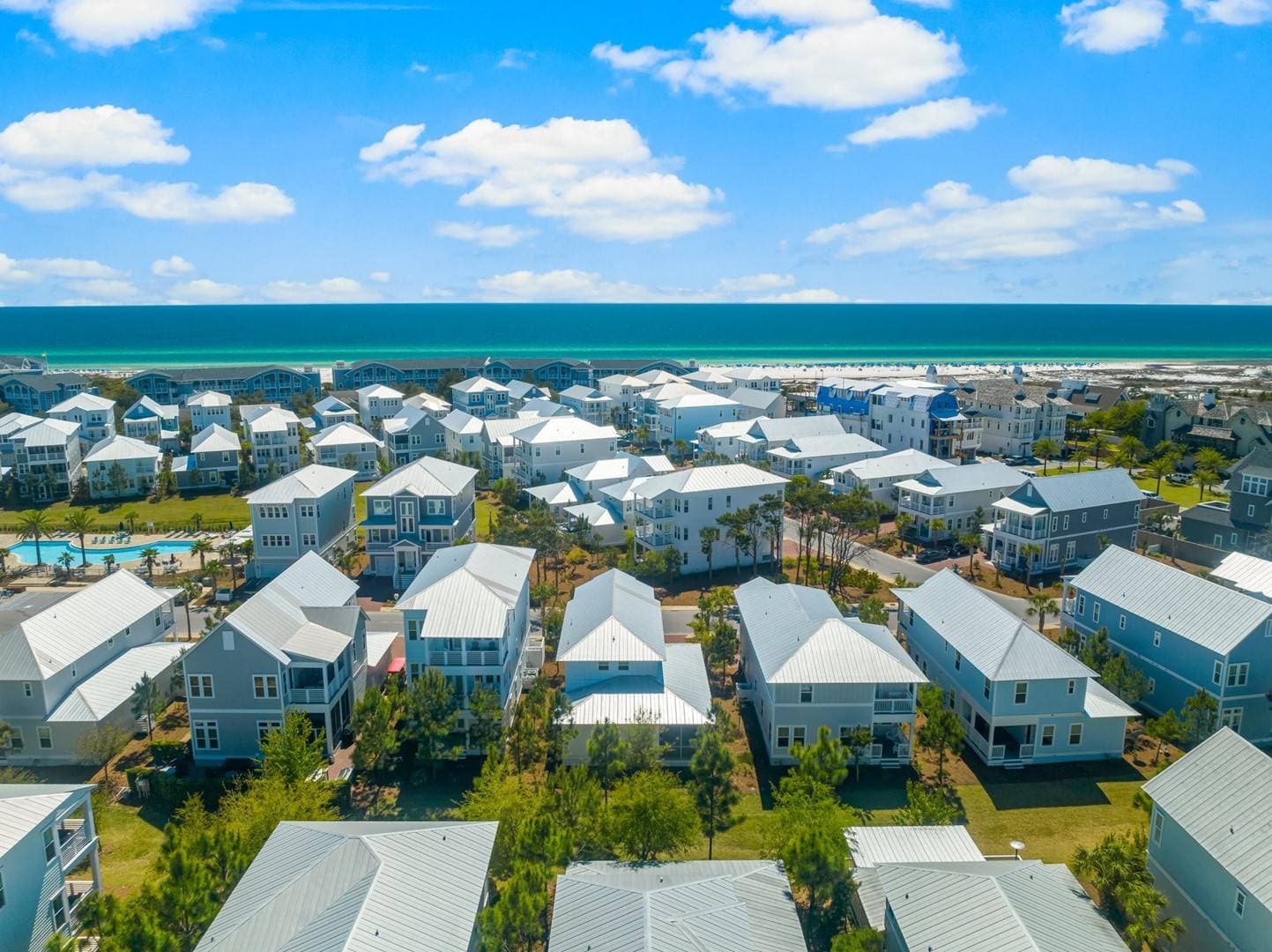 Palm Tree Paradise - Image 53