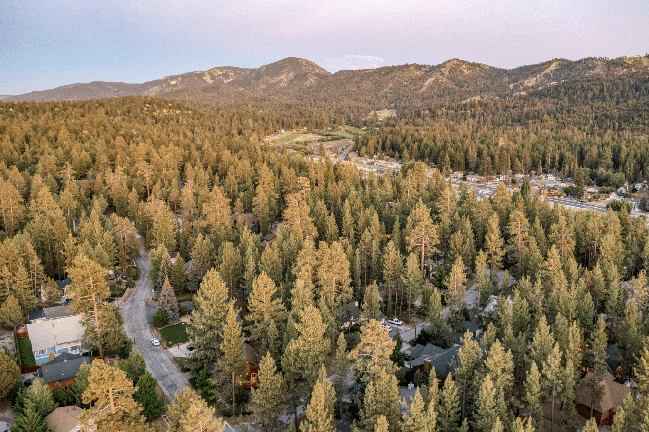 Avalon Pines - Image 29