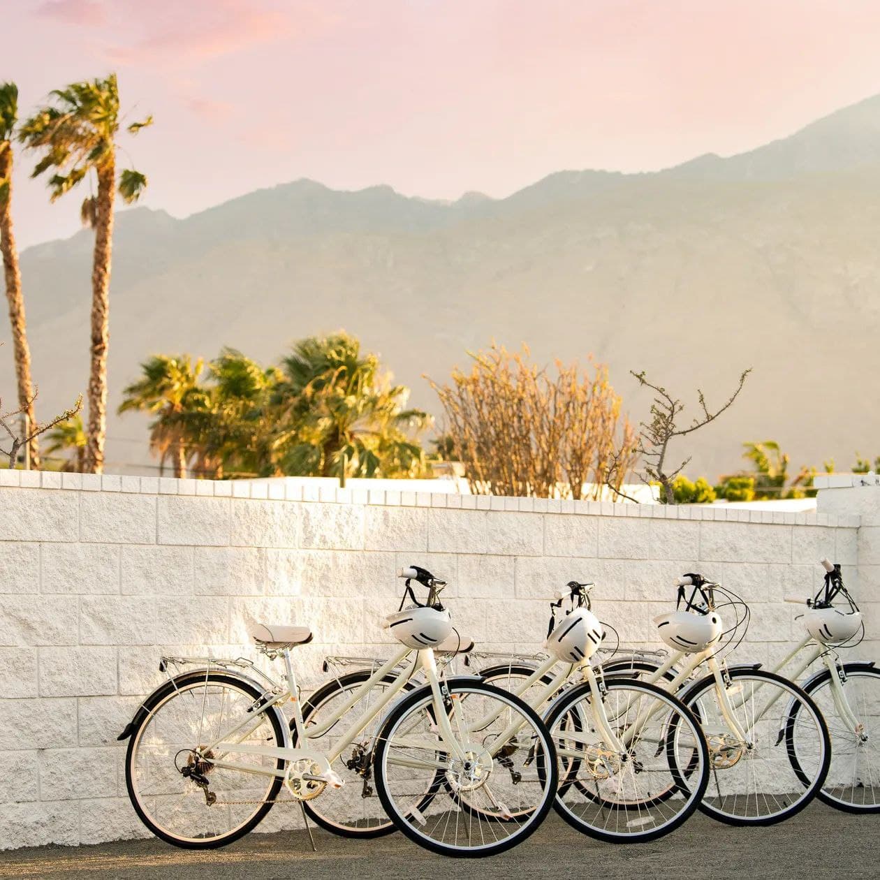 Yellowjacket - Image 4