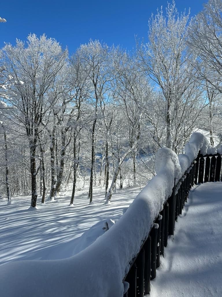 Sugar View Retreat - Image 53