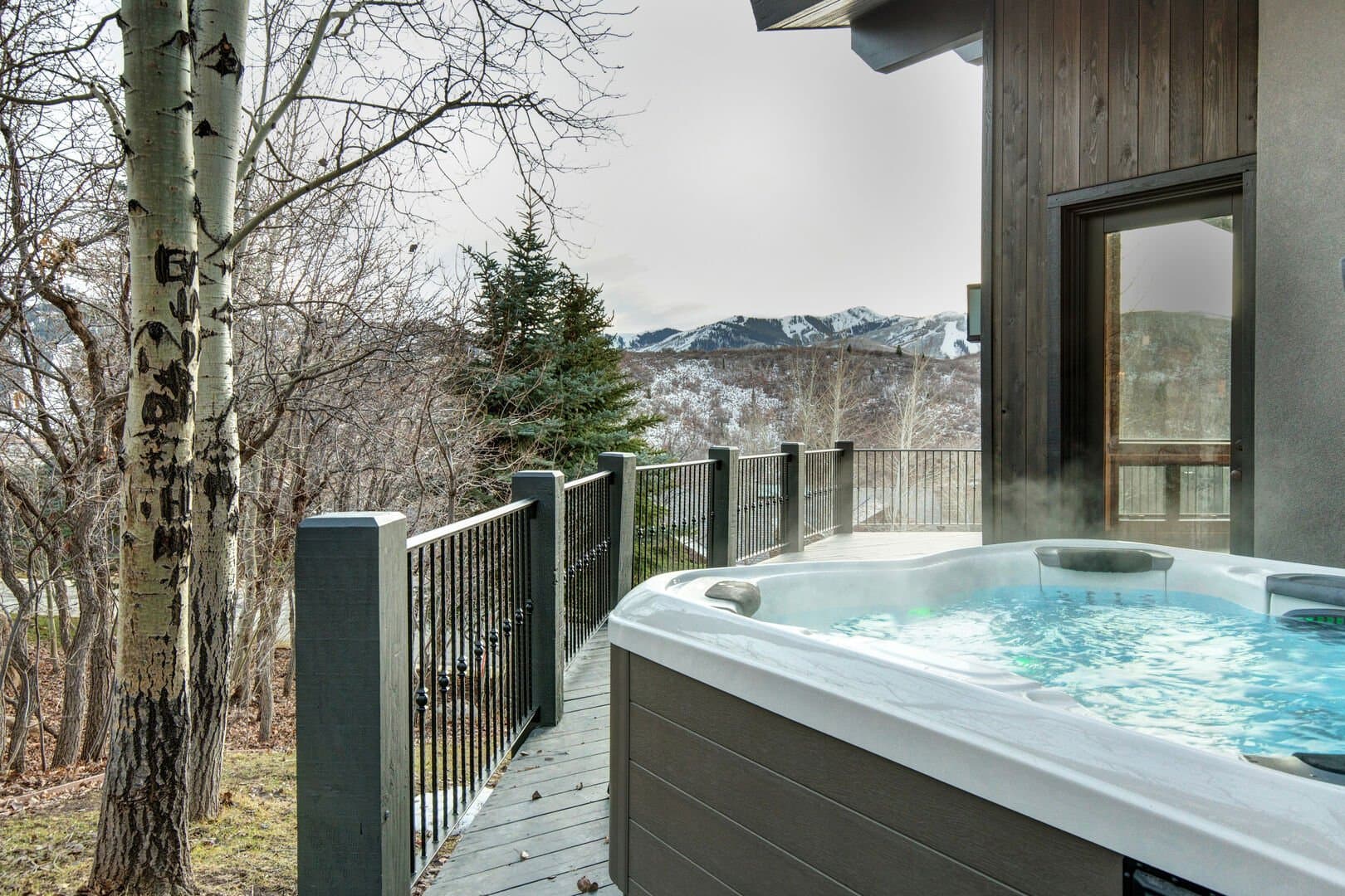 Majestic Bluebird - Image 15