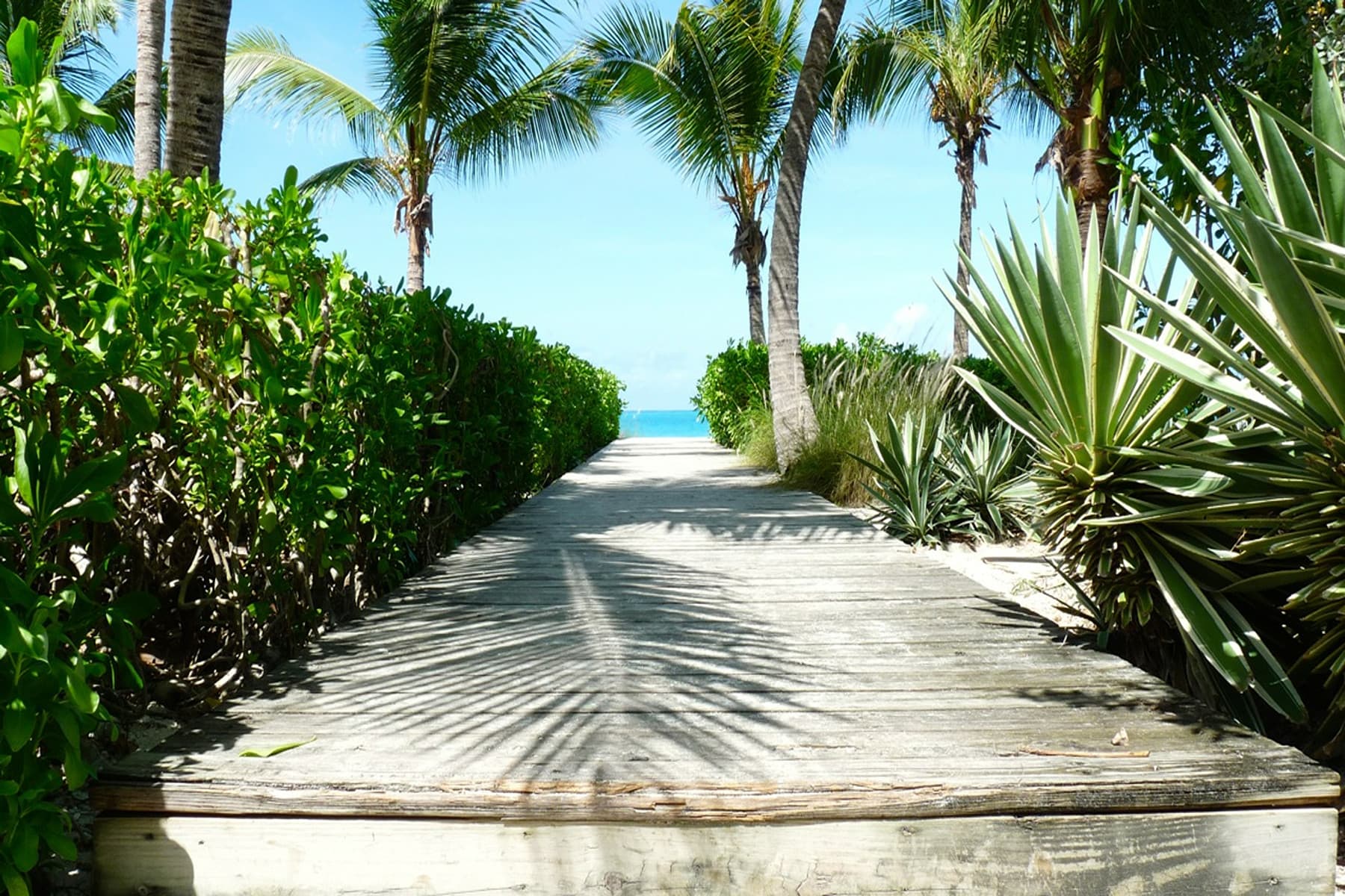 Carpe Diem Home - Image 3