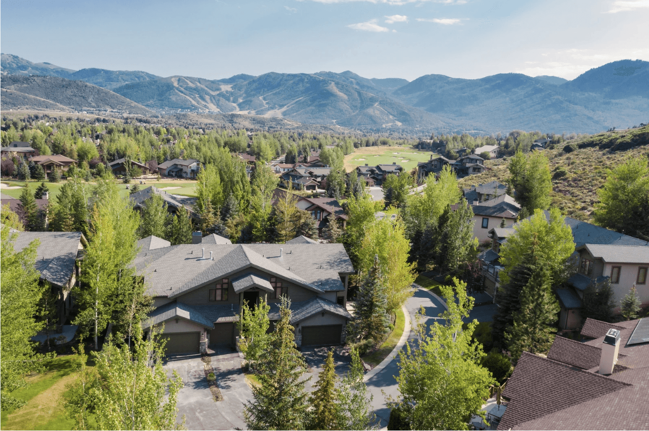 Conifer Nest - Image 35