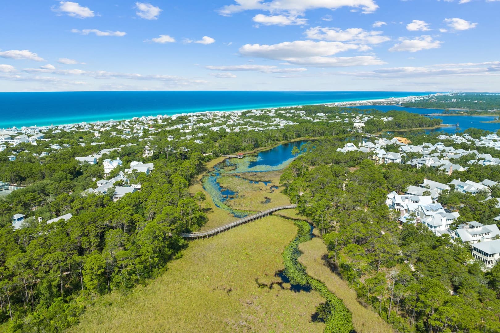 Watercolor Parkside - Image 96