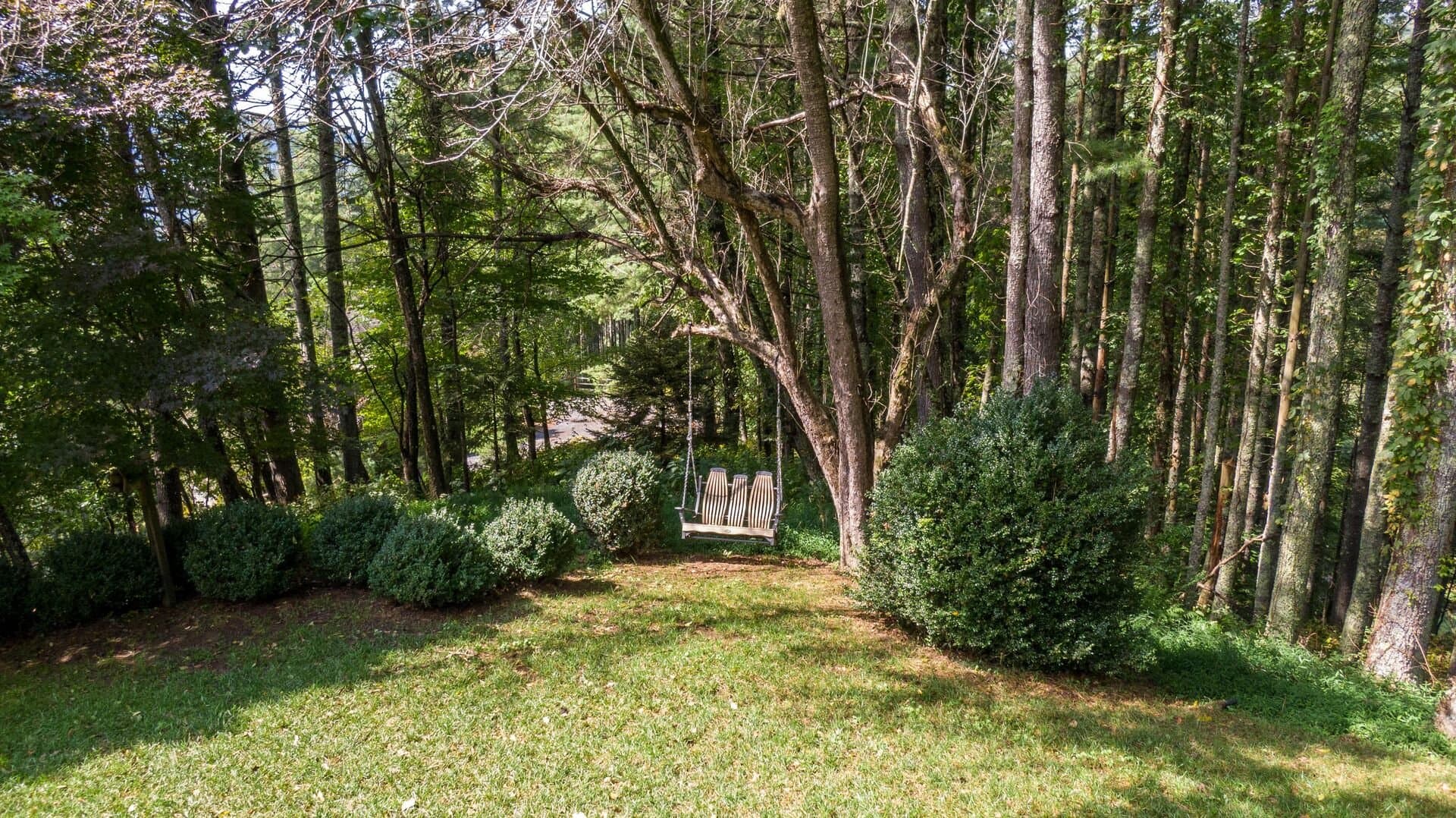 Papa's View - Image 35