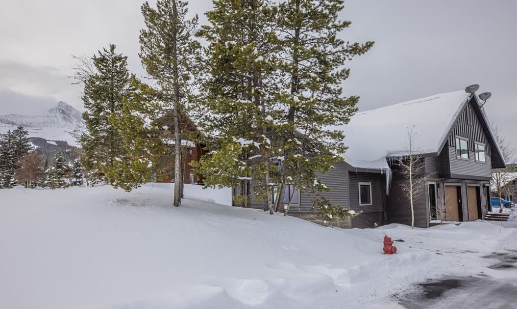 Running Bear Home - Image 2