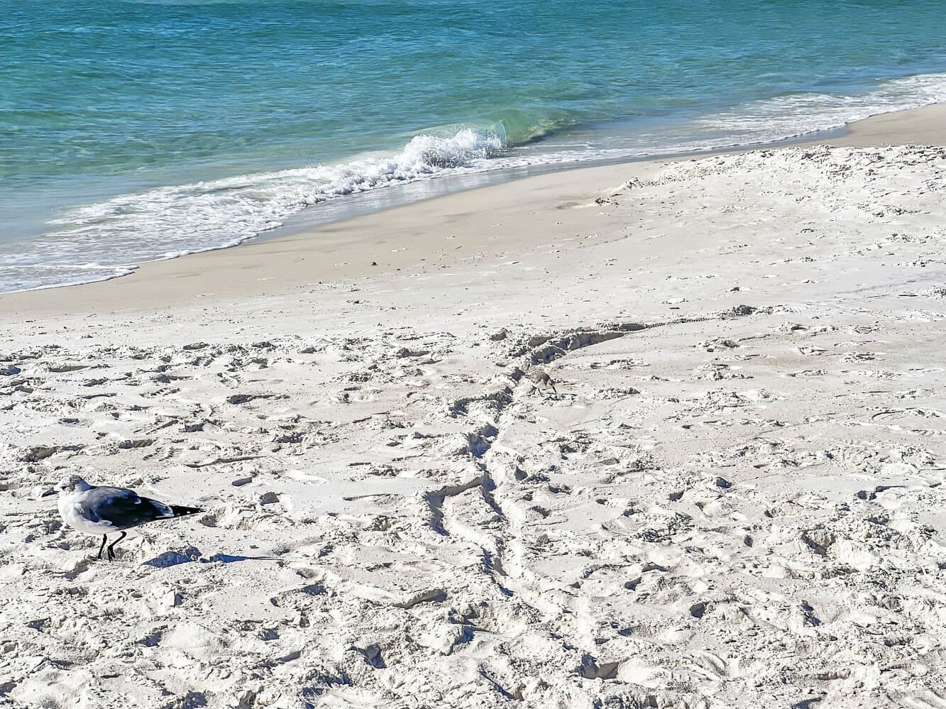 Slice of Paradise - Image 49