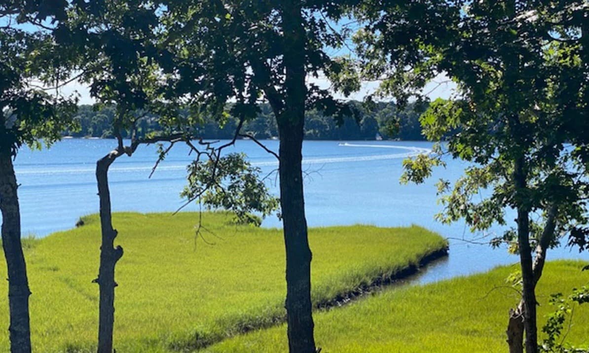 Bass River Lookout - Image 37