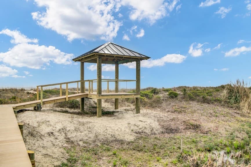 Palm #3108 - Image 8