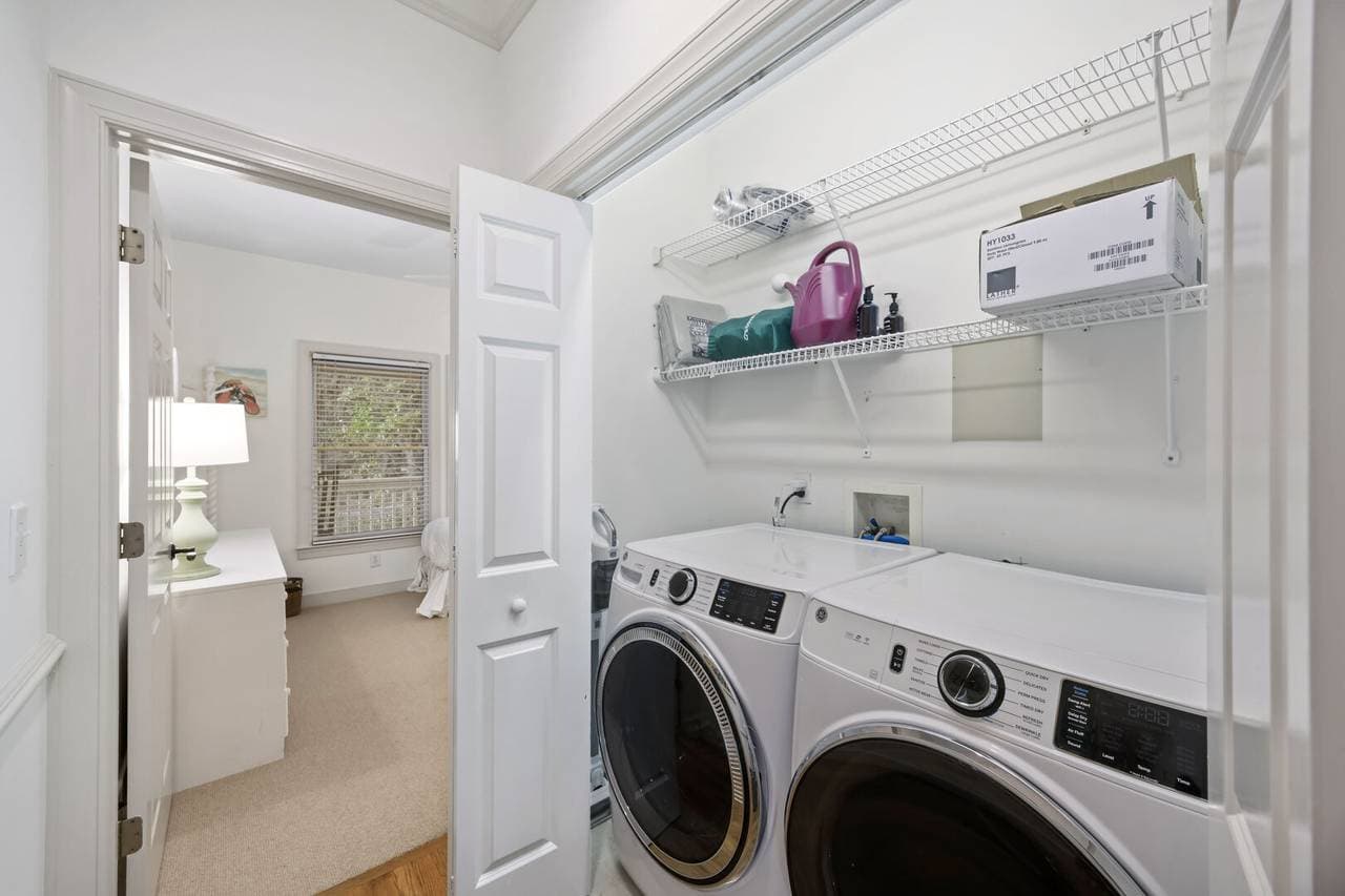 Silver Moss - Image 27