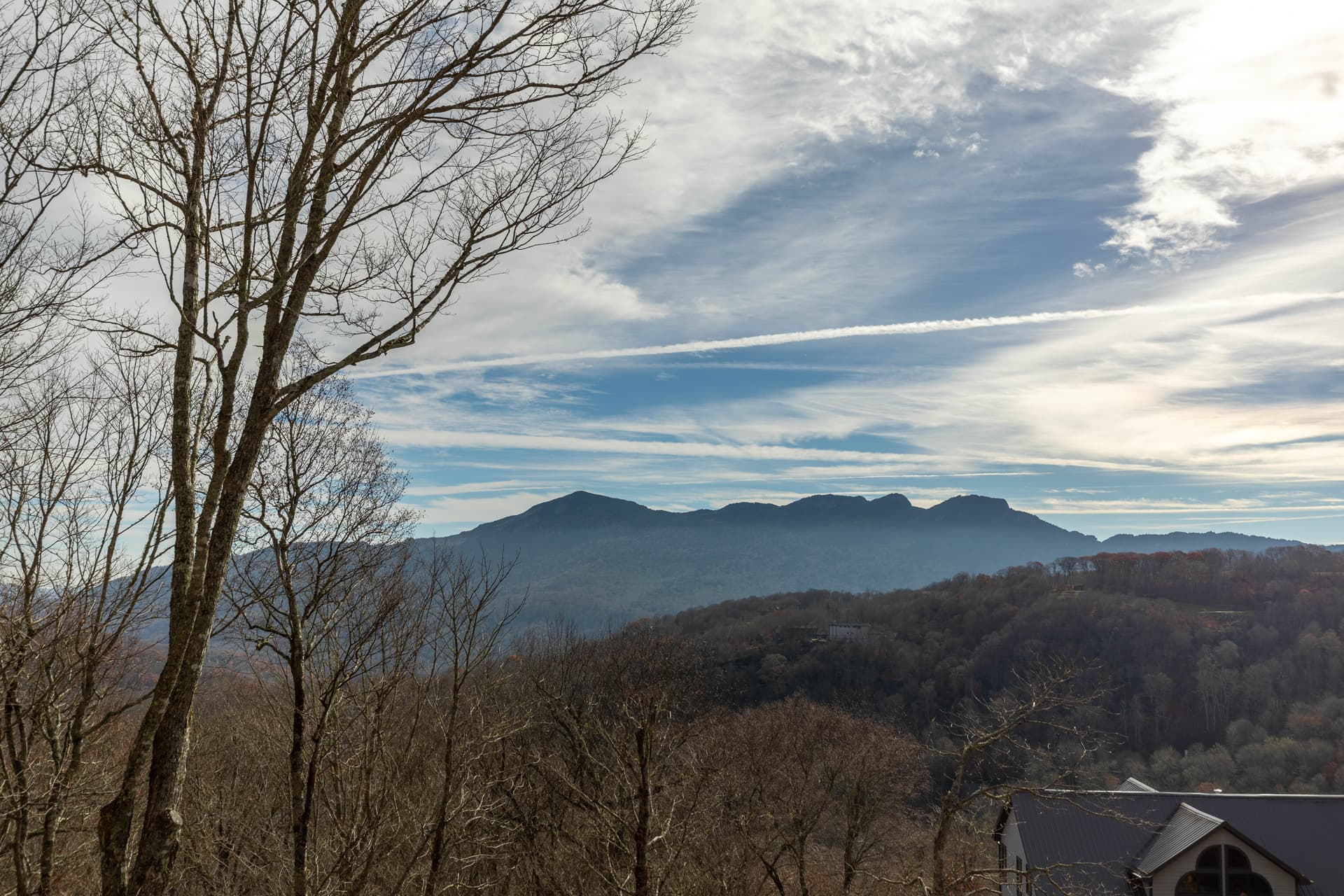 First in Sugar - Image 16