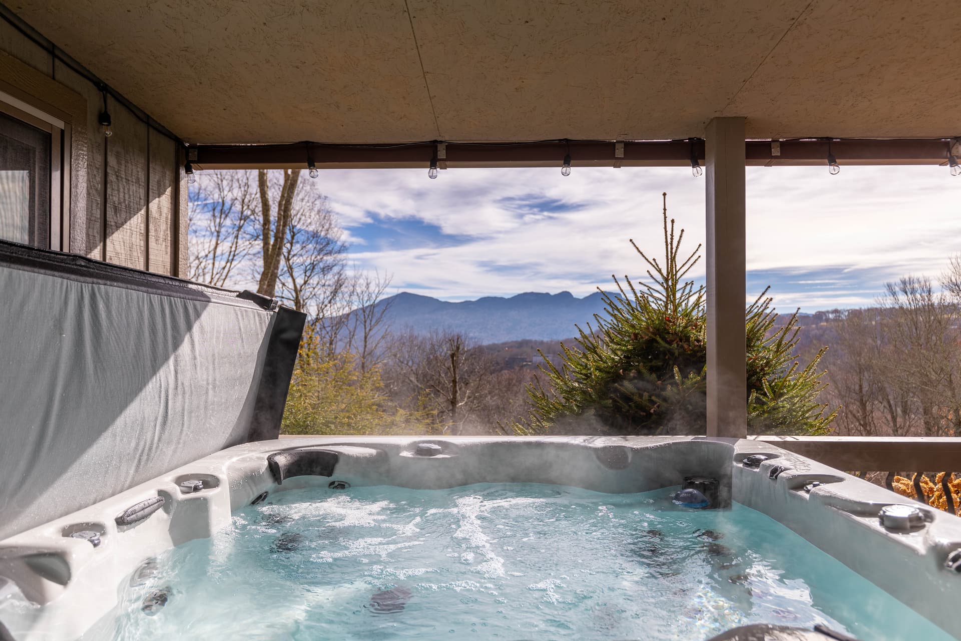 First in Sugar - Image 26