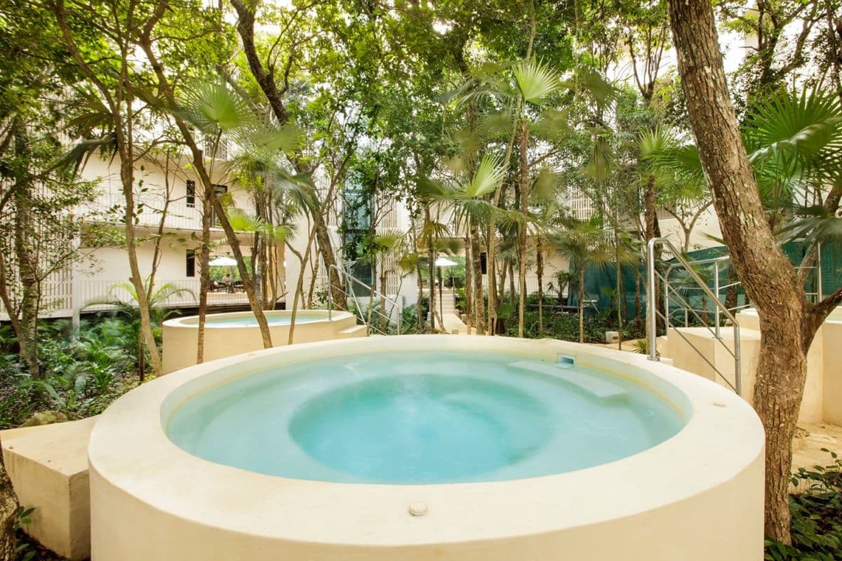 Jungle Sol - Image 3