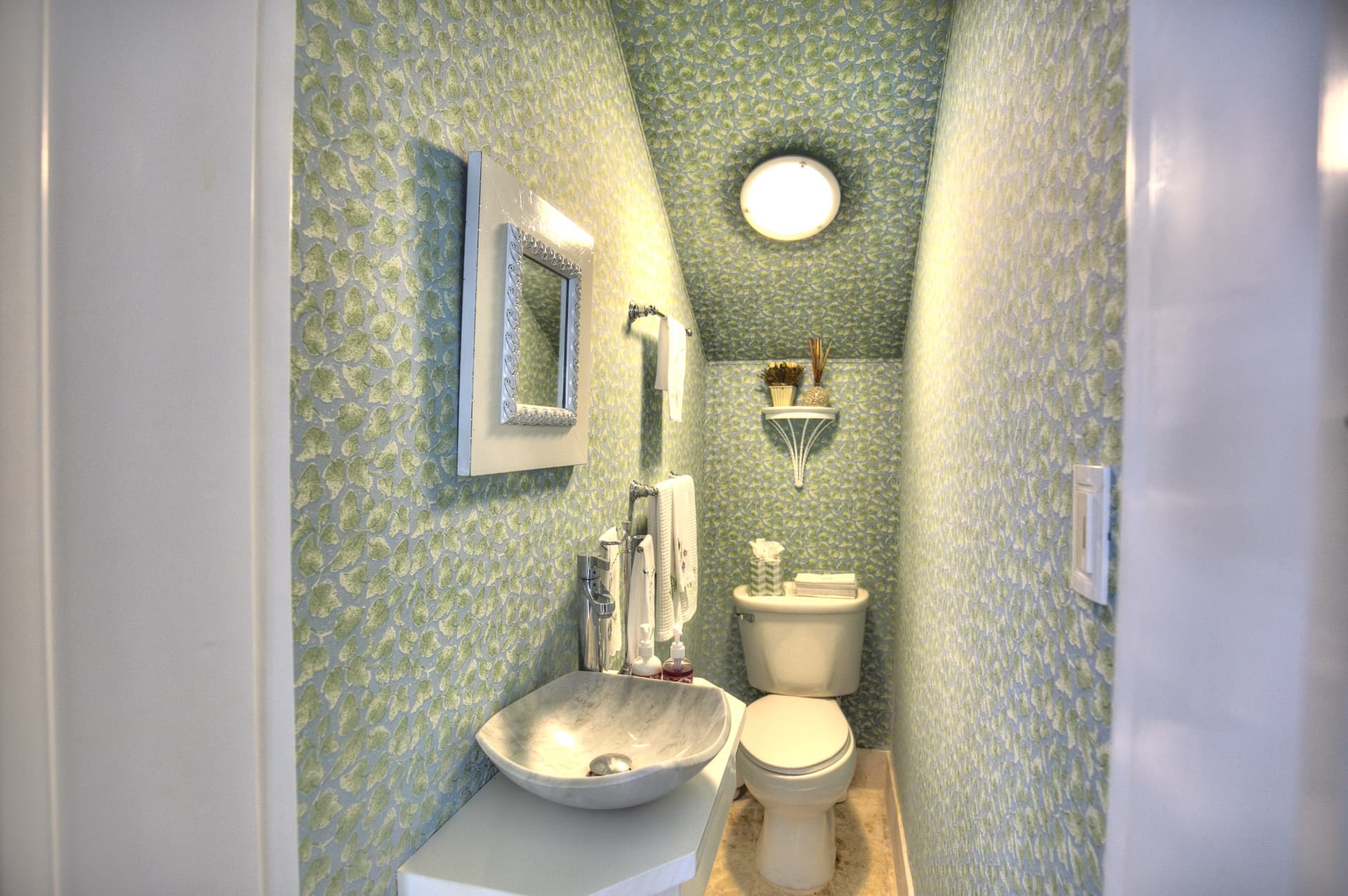 Tortuga Azul - Image 10