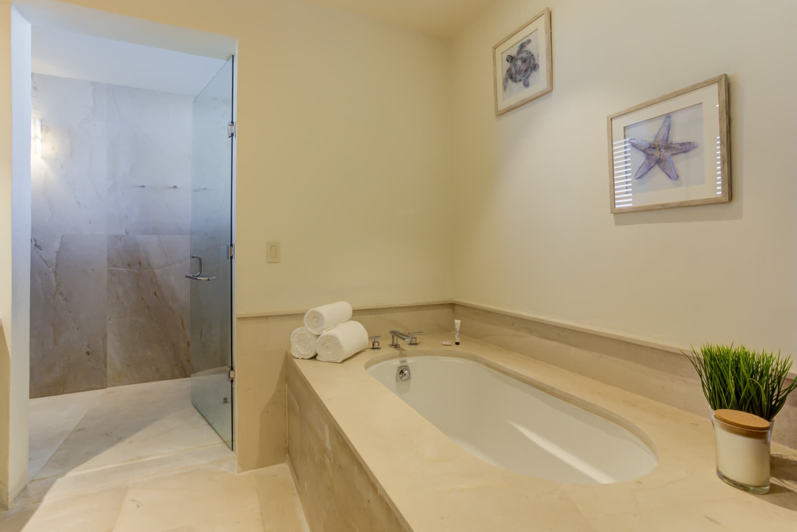 Las Marietas #F201 - Image 52