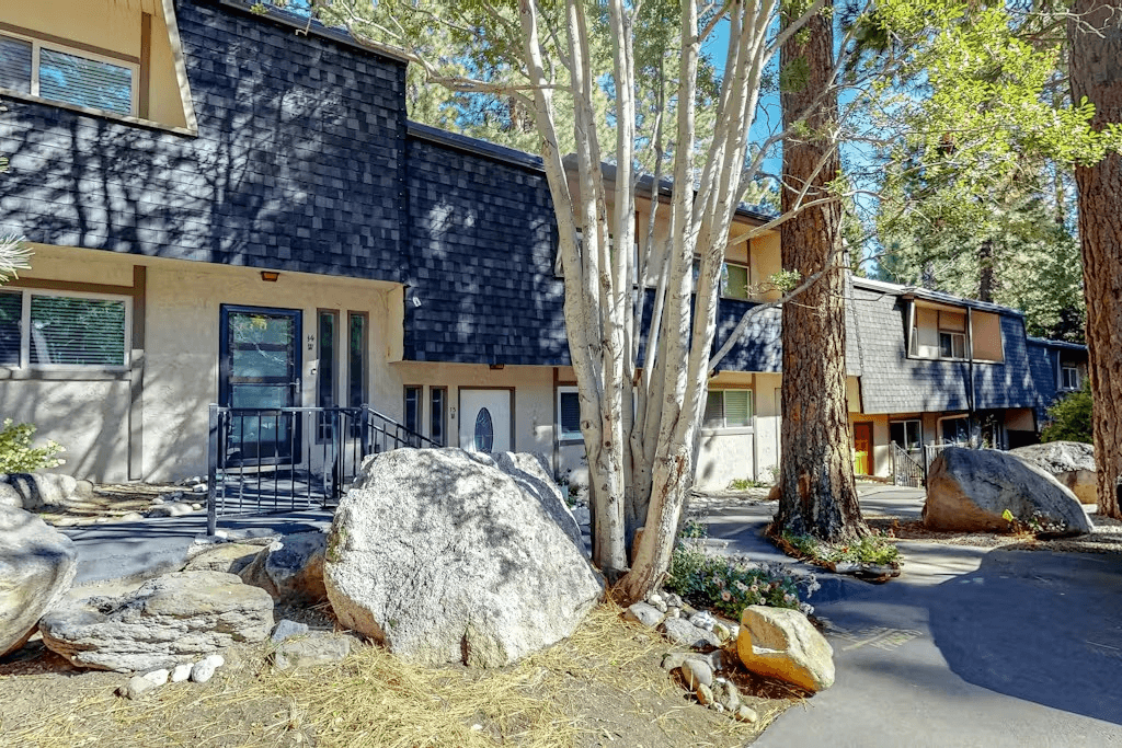 Peace Among Pines  - Image 17