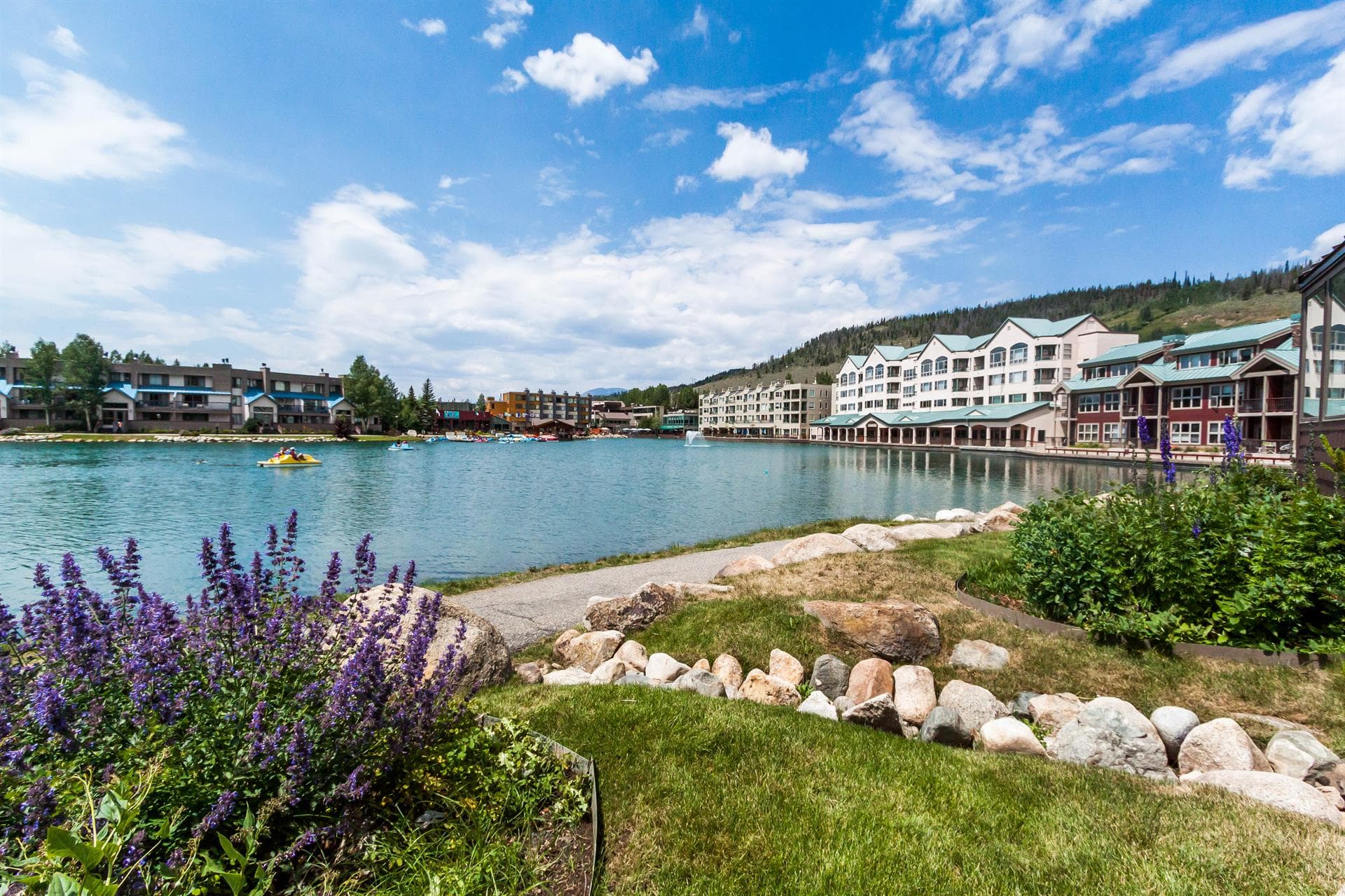 Goldenrod Circle - Image 56