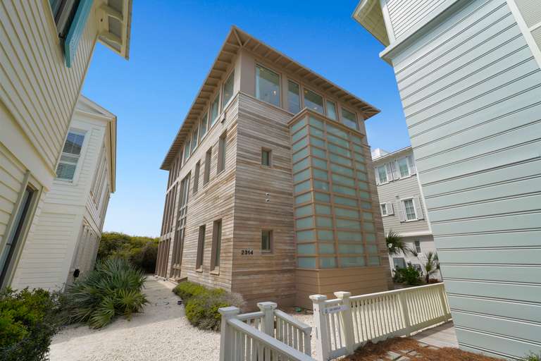 Sea Sabella - Image 7