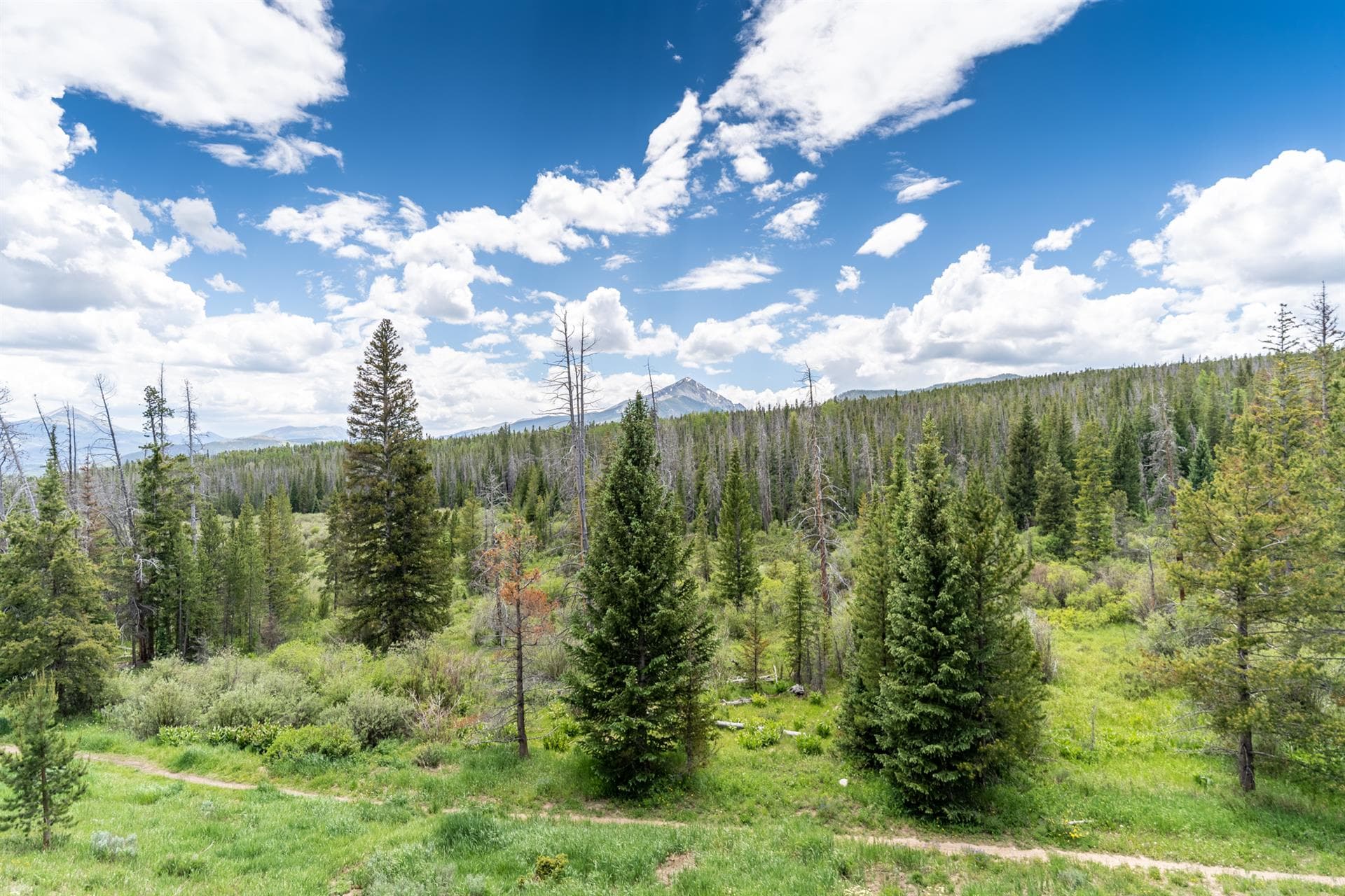 Watch Hill - Image 6